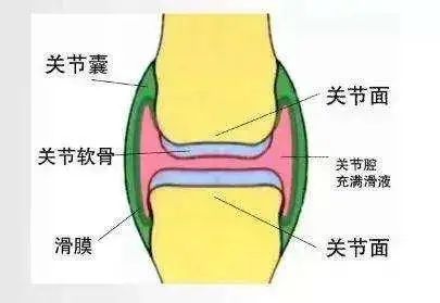 微信图片_20240712094452
