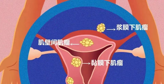 微信图片_20240726095816