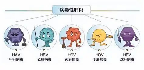 微信图片_20240729143535