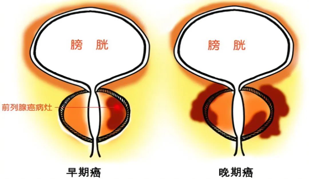 微信图片_20240807143029