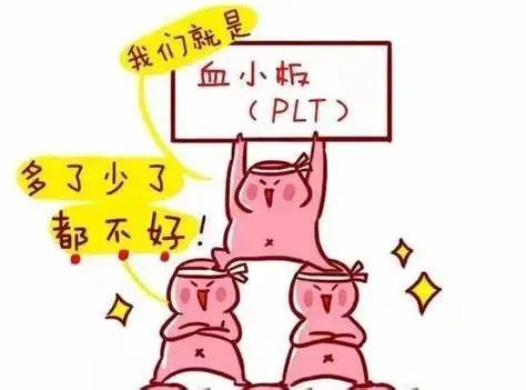 微信图片_20241118170751