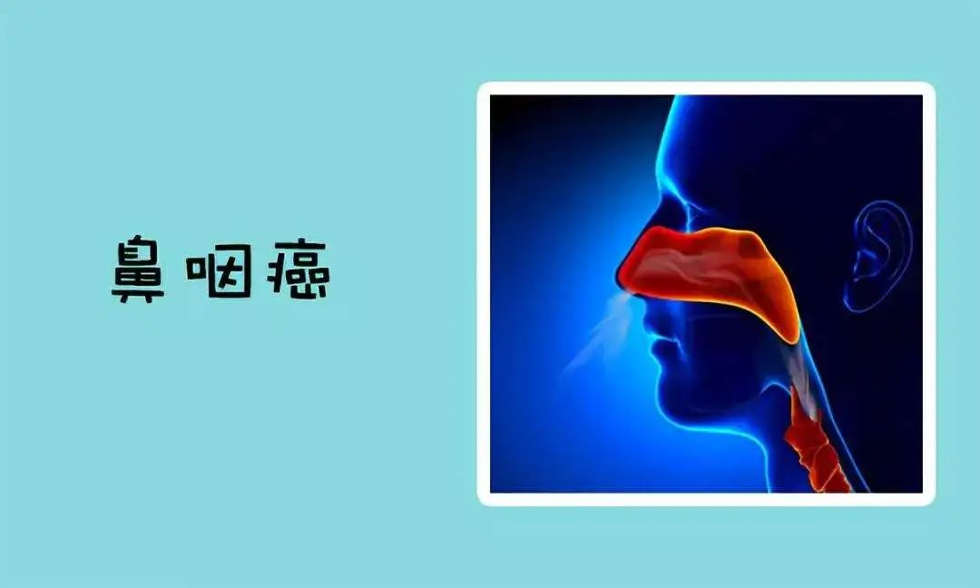 微信图片_20250106164735