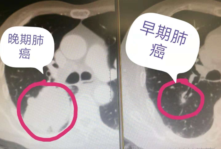 微信图片_20250401143522