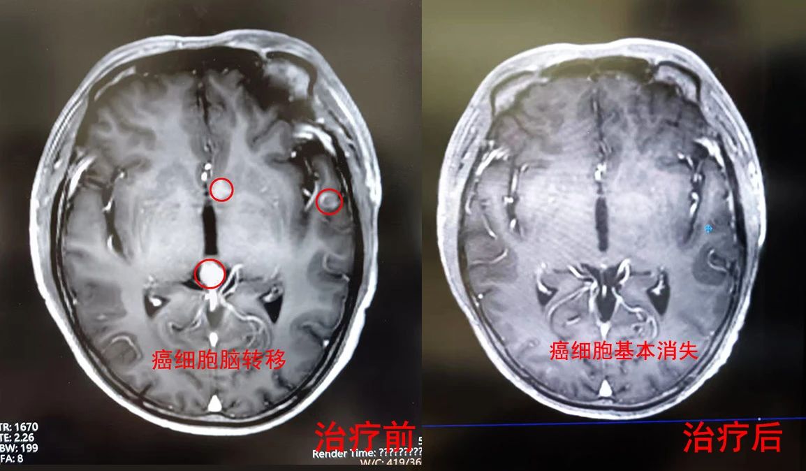微信图片_20250421091521