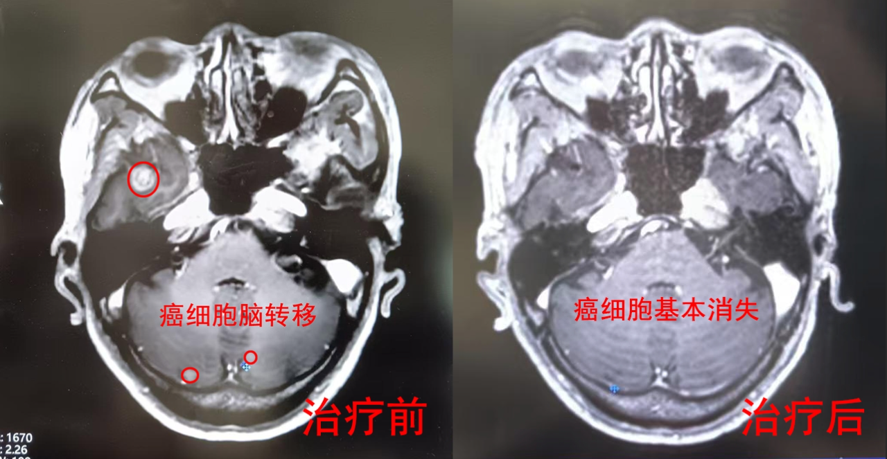微信图片_20250421091601