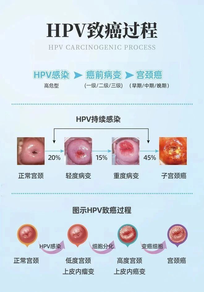 微信图片_20250514092426