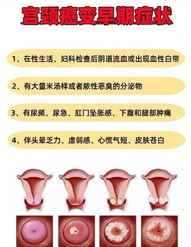 微信图片_20250514092530