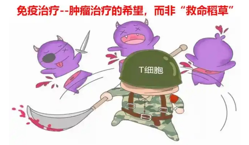 微信图片_20250514092631