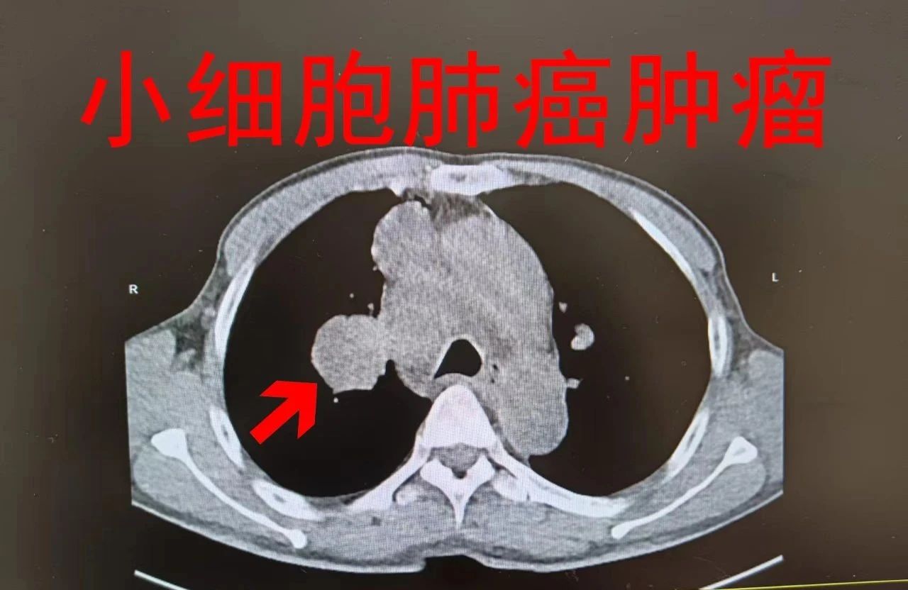 微信图片_20250515094052